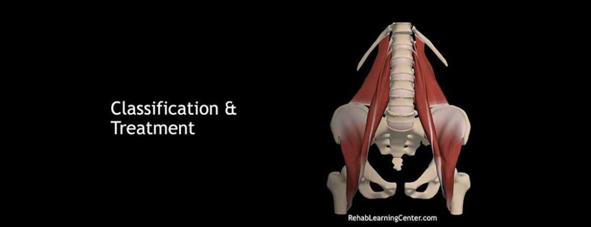 Hip Evaluation and Rehab Online Course