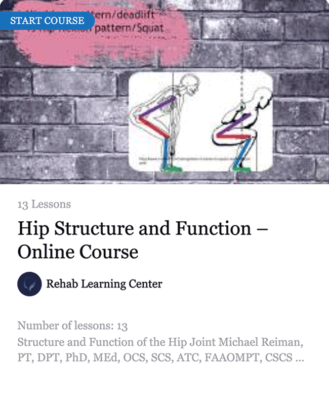 Structure and Function of the Hip Joint - Online Course